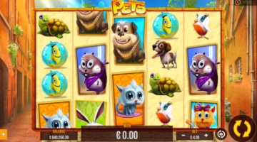 Pets video slot