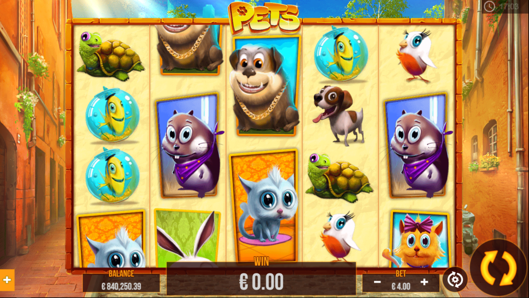 Pets video slot