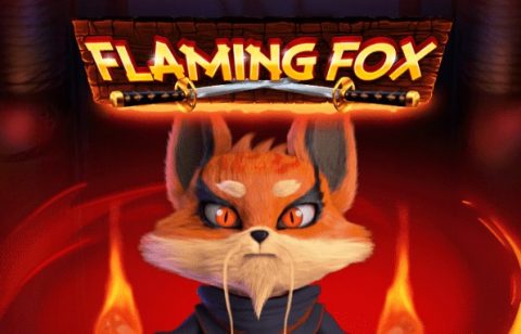 flaming fox slot