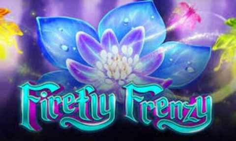 Firefly Frenzy