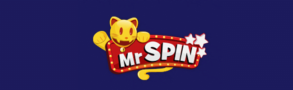 mrspin mr spin