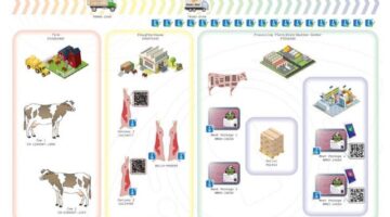 Ambrosus-beef-supply-chain-solution