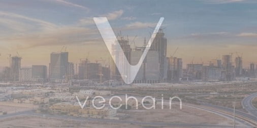 Vechain-Circular-Economy-Project