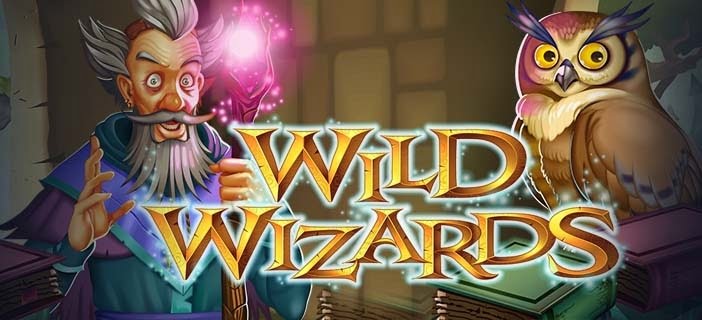 Wild Wizards