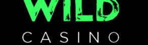 wild-casino-logo